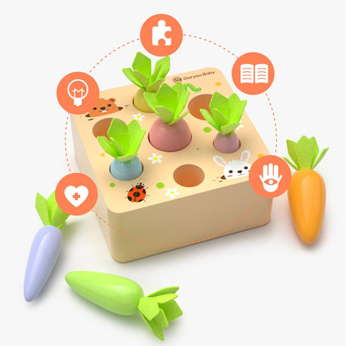 KMTJT Montessori Toys for 1 2 3 Year Old Toddlers, Macron Carrot Harvest Game Wooden Toys for Baby Boys and Girls, Educational Learning Shape Sort...