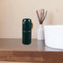 GLEAVI Toothbrush Cup 1 Set Cup Travel Toothbrush Portable Pp Portable Toothbrush Case...