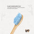 Bamboo Electric Toothbrush Heads, Plant-Based Soft Bristles Electric Toothbrush Replacement Heads, Compatible with Philips Sonicare (Mix and Match...
