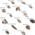 PH PandaHall 150pcs 15 Styles Tree Leaf Charms Pendants, Tibetan Branch Leaves Charms Metal Alloy Leaf Beads Antique Bronze Dangle Charm for Fall ...