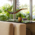 Artificial Succulent Pineapple Room Decor - House Greenery for Hotel Restaurant Home Office Kitchen Table (01 Gold)...