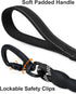 15ft Long Dog Leash | Neoprene Padded Handle | Lockable Heavy Duty Clip | Handle Removable for Temporary Tie Out | Dog Training,Hiking,Camping,Pla...