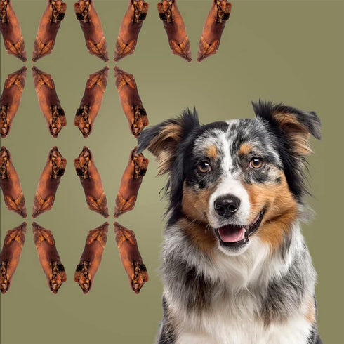 ROAM Pet Treats Bucky Hoof Pack of 2 – Grasslands Venison Hoof Dog Chew, Single Ingredient, All Natural, Grain-Free, & Gluten-Free...