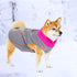 1 Piece of Grey Dog Heart Sweater with Leash Ring Soft Fleece Vest Dog Pullover Warm Jacket Pet Dog Clothes Winter Dog Outfits for Small Puppy Cat...