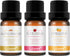 LOXIM Discovery Collection Essential Oil Set of 3 (Santal Sparkle, Rose Sugar, Citrus Pop) Fragrance Oils for Aromatherapy Diffuser, 100% Pure Nat...