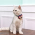 Cat Bell, 8 PCS Bell for Dog Collar Charm Dog Collar Bell Round Dog Bells Cat Bells for Collar Loud Dog Training Bell with Pet Collar Accessories ...