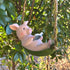 Pig Statue Garden Outdoor,Swing Garden Hanging Pig Resin Home Decor,Charmingly Naive Pig Decoration Garden Decor for Patio Yard Lawn Fence Pathway...
