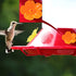 12 Pieces Hummingbird Feeders Replacement Flowers, BENBO Outdoor Bird Feeder Replacement Parts Feeding Ports Replacement with 4 PCS Cleaning Brush...