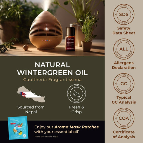 Gya Labs Wintergreen Essential Oil for Diffuser - 0.34 Fl Oz - 100% Pure Natural Wintergreen Oil for Skin, Hair, Candle Making, Massage & Refreshi...