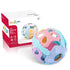 Baby Rattle Ball,Baby Teething Sensory Montessori Toys,Teething, Travle Toys for Infants Toddlers Boys Girls Baby Gifts for 6 7 8 9 10 11 12 Month...