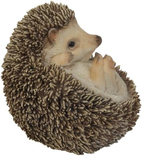 Hi-Line Gift Ltd Hedgehog on Back Statue...