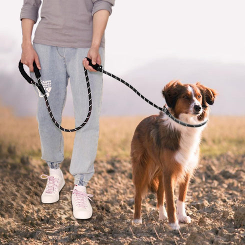 Dog Leash-Heavy Duty Long Dog Leash for Puppy, Small, Medium, and Large Dogs (Black Rope - Handle & Collar, 6 Feet)...