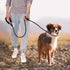 Dog Leash-Heavy Duty Long Dog Leash for Puppy, Small, Medium, and Large Dogs (Black Rope - Handle & Collar, 6 Feet)...