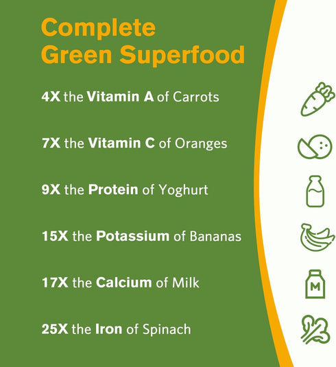 Doctor's Recipes Moringa Capsules, Made with Moringa Powder Organic, 10,800 mg Strength Per Serving, 50:1 Extract, Green Superfood, Skin, Immune &...