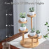 OLizee® 5 Tier Wood Plant Riser Stand Tabletop Tiered Plant Pot Holder Stand Bamboo Succulent Plant Stand Plant Pot Riser Stand Plant Display Hold...