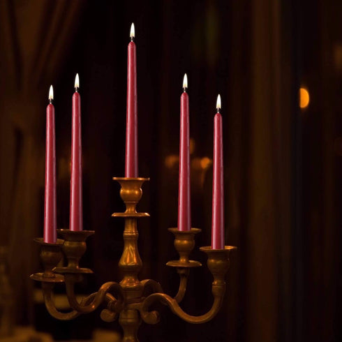 14 Pack Dark Red Taper Candles 12 Inch Tall 3/4 Inch Thick Burn 10 Hours (Burgundy)...