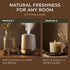 Gya Labs Cypress Essential Oil for Diffuser - 0.34 Fl Oz - 100% Pure Natural Cypress Oil for Candle Making Scent & Aromatherapy - Invigorate & Ref...