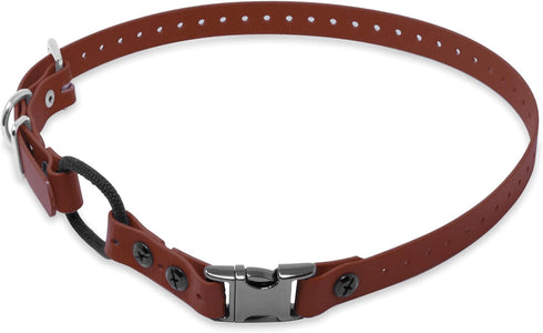 Educator Quick Snap Bungee Dog Collar, Biothane, Waterproof, Odorproof, Easy Connect and Disconnect Clasp and D Ring with Comfort Bungee Loop, Adj...