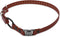 Educator Quick Snap Bungee Dog Collar, Biothane, Waterproof, Odorproof, Easy Connect and Disconnect Clasp and D Ring with Comfort Bungee Loop, Adj...