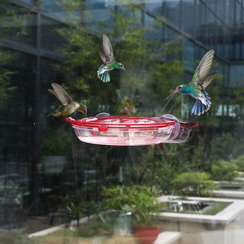Solution4Patio 2 Pack Window Hummingbird Feeders, New Upgrade Stronger Suction Cups, 13-Ounce Nectar Capacity, Jewel Box Designed #G-B115B00-US...