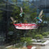 Solution4Patio 2 Pack Window Hummingbird Feeders, New Upgrade Stronger Suction Cups, 13-Ounce Nectar Capacity, Jewel Box Designed #G-B115B00-US...