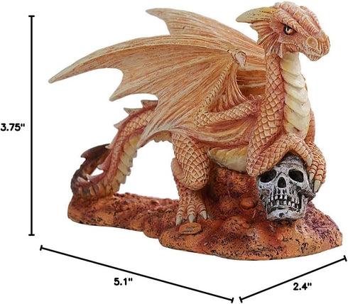 Pacific Giftware Anne Stokes Age of Dragons Desert Dragon Wyrmling on Skull Head Rock Home Tabletop Decorative Resin Figurine...