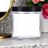 16 oz Large Clear Thick Glass Jar with Black Foam Lined Lid (4 pack)...
