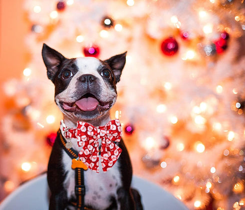 DOGWONG Christmas Dog Collar with Sailor Bow, Red Santa claus Dog Collar Soft Durable Adjustable Cotton Puppy Collar for Small Medium Large Dog...