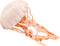 Safari Ltd. Jellyfish Figurine - Detailed 5" Plastic Model Figure - Fun Educational Play Toy for Boys, Girls & Kids Ages 3+...