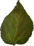 Awesome Aquatic Mulberry Shrimp Leaves Natural Botanical Leaf Food Organic Treat Aquarium Fish Shrimp Terrarium High Protein Vitamin Mineral Fiber...