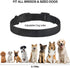 PetJoy Dog Bark Collar, Barking Training Collar Waterproof & Rechargeable, Automatic Shock Control Prong Collar with Beep & Shock for Small Medium...