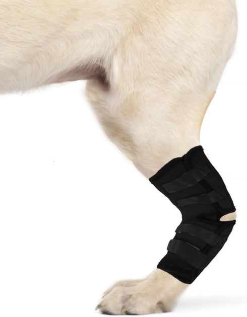 Dog Hind Leg Brace Protects Wounds, Dogs Leg Compression Joint Wrap for Recovery, Pair of Dog Elbow Brace Prevents Injuries, Pet Leg Hock Protecto...