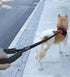 6FT 10FT Strong Dog Leash Black Rope Leash Highly Reflective Threads with Soft Padded Handle for Small Medium Large Dogs (10ft-black-1/2)...