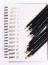Sketch Pencil Drawing Set 14 Pencils 6H, 4H, 2H, HB, 1B, 2B, 3B, 4B, 5B, 6B, 7B, 8B, 10B, 12B...