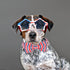 DOGWONG American Flag Dog Collar with Bowtie, Flag Cotton Dog Collar Comfortable Durable American Dog Collar - Memorial Day Collar for Small Mediu...