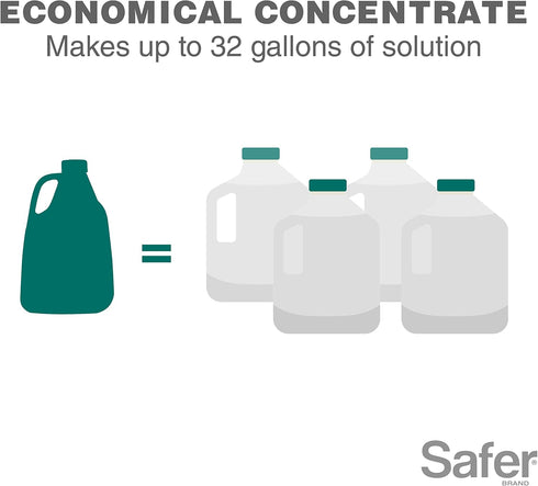 Safer Brand 5192-6, 16 oz Horticultural & Dormant Spray Oil Concentrate, 1 Pack, Green...