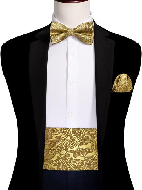 Barry.Wang Men Silk Paisley Cummerbund and Pre-tied Bowtie Handkerchief Cufflink Set for Tuxedo...