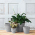 Dolce Round Planter, Gray, 6"...