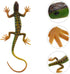 NUOBESTY Lizard Figurine Fake Lizard Plastic Lizard Toy Action Figure Reptile Toy for Collection Science Educational Prop (Green)...