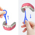 ARGOMAX - Aligner Removal Tool, 5 Invisible Braces Removal Tools, Retainer Remover Tool, Suitable for Removing Braces, Trays, Retainers, Dentures ...