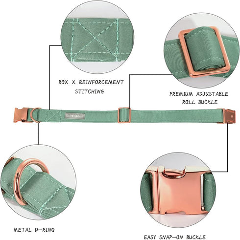 Lionet Paws Bowtie Dog Collar - Comfortable Silk Dog Collar with Detachable Bow Tie for Large Dogs, Neck 16-24 Inches...