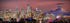 PHOTOSBYJON Seattle Skyline 2020 Photo Print UNFRAMED Dusk Color City Downtown 11.75 inches x 36 inches Rainier Photographic Panorama Poster Pictu...