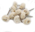 NGe 1/8inch Shank Mounted Cotton Polishing Buff Wheel for Rotary Tools Jewelry Watch Light Polish Pack of 10...