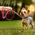 Bling Dog Puppy Leash Sparkly Rhinestone Dog Cat Kitten Walking Leashes Pet Lead for Small Dogs Chihuahua Yorkshire Teddy 120cm Black M...