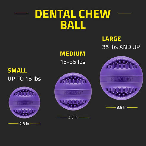 Playology Silver - Dental Chew Ball Dog Toy, Large - Designed for Senior Dogs (35lbs and Up) - Engaging All-Natural Pork Sausage Scent - Non-Toxic...