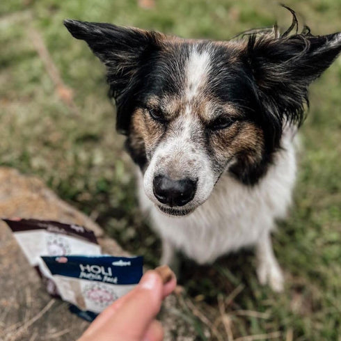 HOLI Elk & Venison Freeze Dried Dog Treats - All Natural and Wild Caught | Vitamin and Mineral Fortified | Made in USA - Human Grade - Grain Free ...