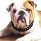 Cuban Link Dog Collar - 3/4 in Wide Metal Chain Dog Collar Venom Black, The Newest Design Stunning Pet Accessory, Cute Luxury Jewelry Costume 22 i...