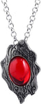 Game Devil May Cry Dante's Amulet Necklace Red Crystal Pendant Present for Men Women...