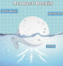 ZHENDUO Baby Bath Toys, Rechargeable Bath Toys, Whale Spray Water Bath Toy, Sprinkler Bathtub Shower Toys for Toddlers Kids Boys Girls, Pool Toy f...