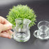 DGQ Classic Glass Creamer Pitcher with Handle 4oz Pack of 2 Milk Pourer Mini Creamer for Coffee Tea Maple Syrup Serving...